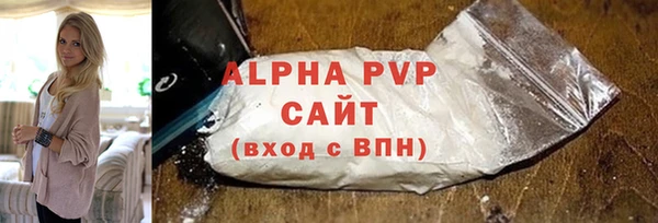 гашик Нея