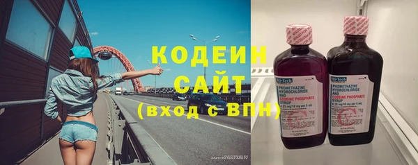 стаф Вязьма