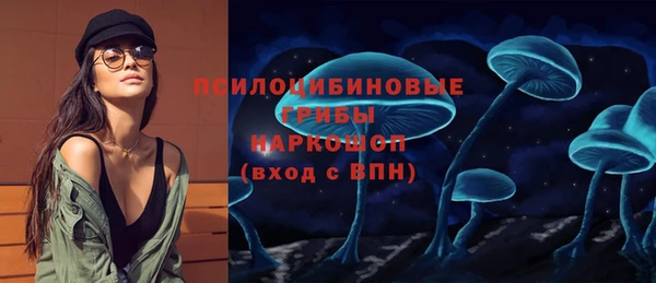 каннабис Новозыбков