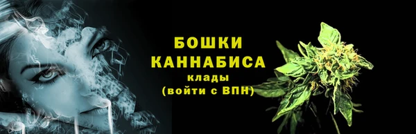 каннабис Новозыбков