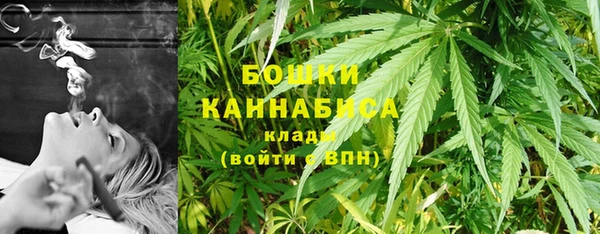 гашик Нея