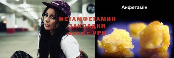 шишки Новодвинск