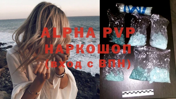 гашик Нея