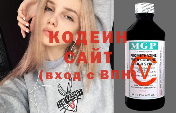 гашик Нея