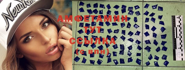 гашик Нея