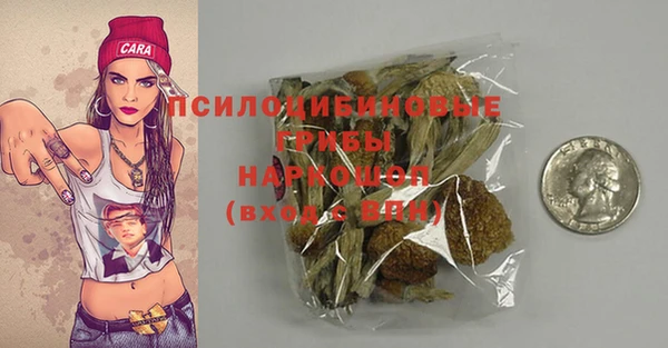 шишки Новодвинск