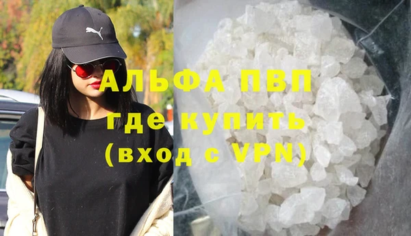 шишки Новодвинск