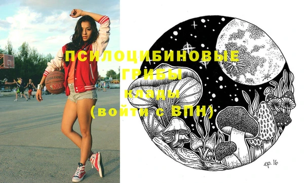 каннабис Новозыбков