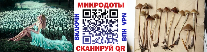 blacksprut зеркало  наркошоп  Николаевск-на-Амуре  Псилоцибиновые грибы Psilocybe 